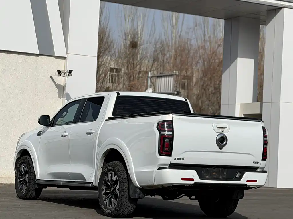 Cannon 2021 2.0T passenger global version automatic diesel four-wheel drive comfort standard box GW4D20M купить на сайте DeffCars