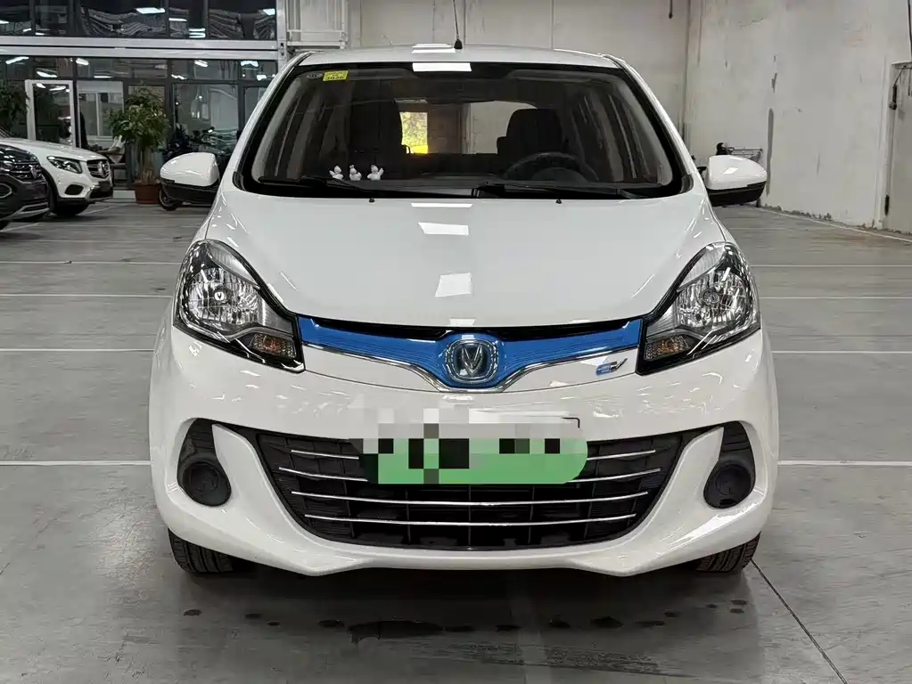 Benben EV 2018 EV260 standard model купить на сайте DeffCars