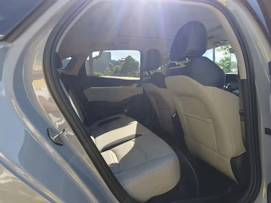 Xingrui 2023 2.0TD Premium Model купить на сайте DeffCars