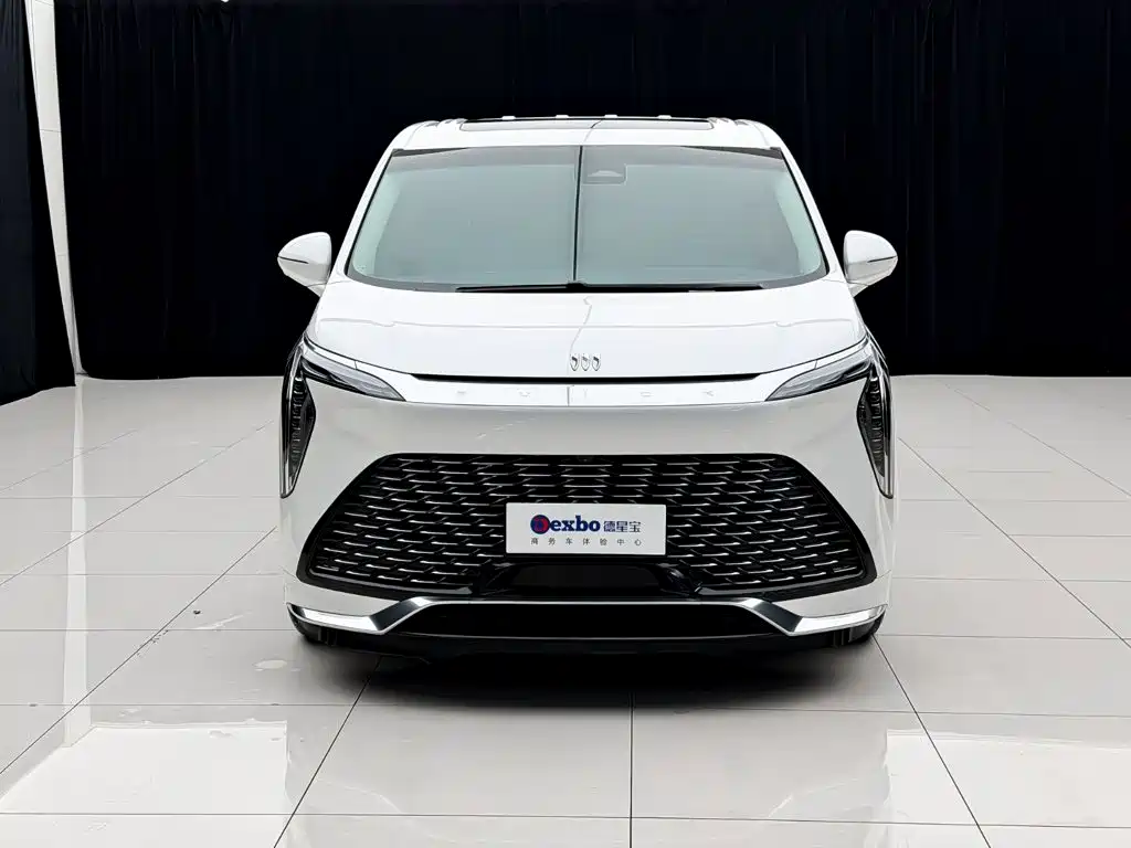Century 2023 2.0T Six-seater Yuanshi Edition купить на сайте DeffCars