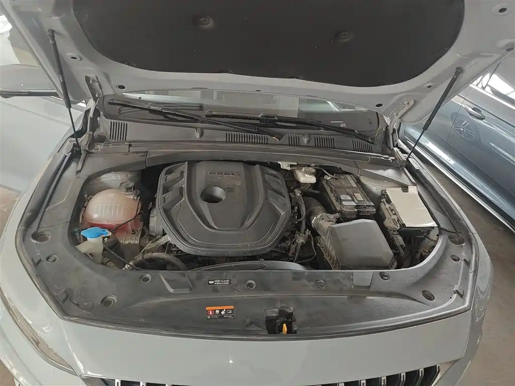 Xingrui 2023 2.0TD Premium Model купить на сайте DeffCars