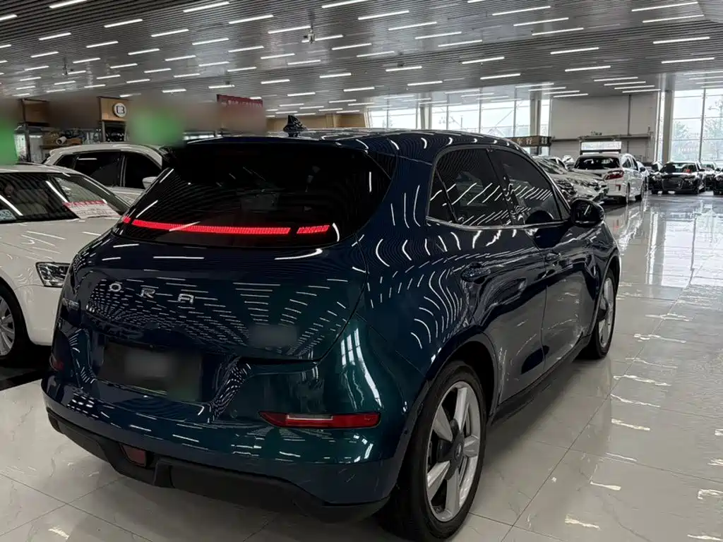 Euler Good Cat 2021 Model 400km Standard Range Athena Edition Lithium Iron Phosphate купить на сайте DeffCars