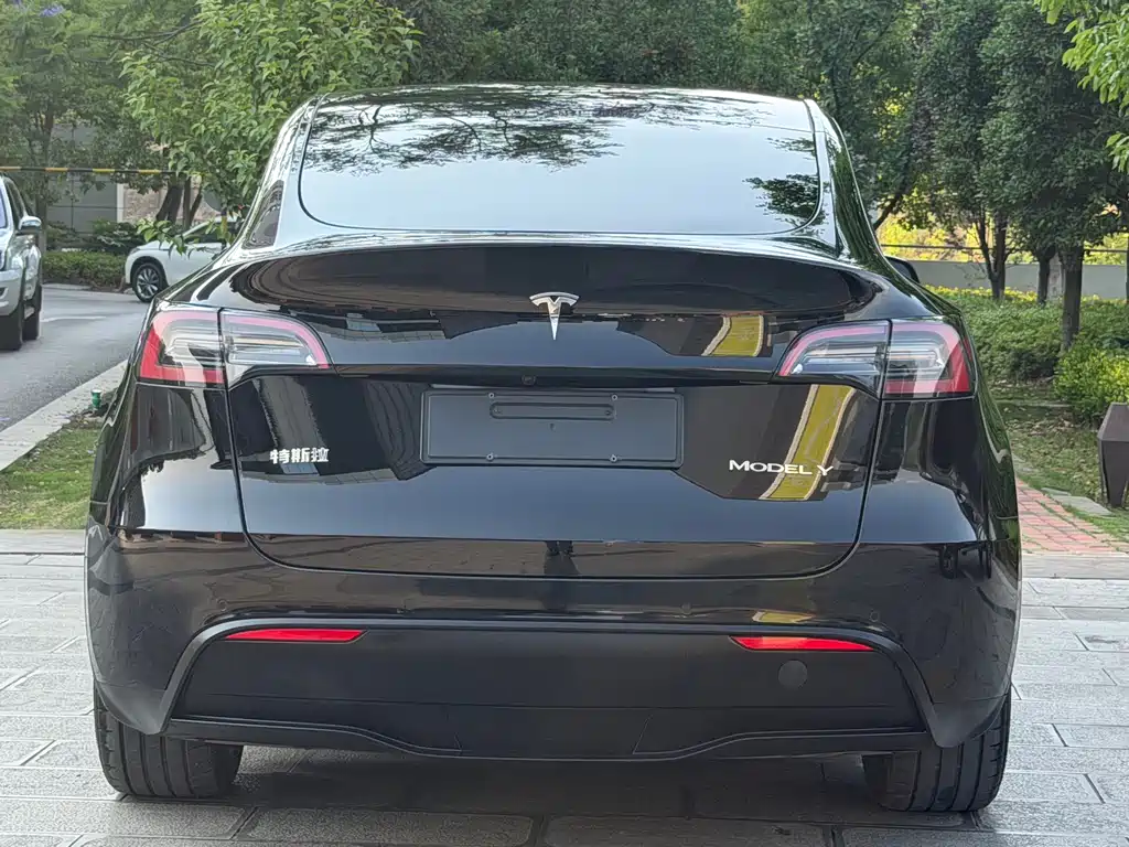Model Y 2023 rear-wheel drive version купить на сайте DeffCars