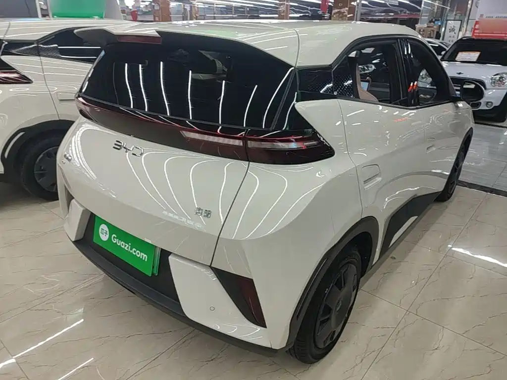 Seagull 2025 Smart Driving Edition 305km Dynamic купить на сайте DeffCars