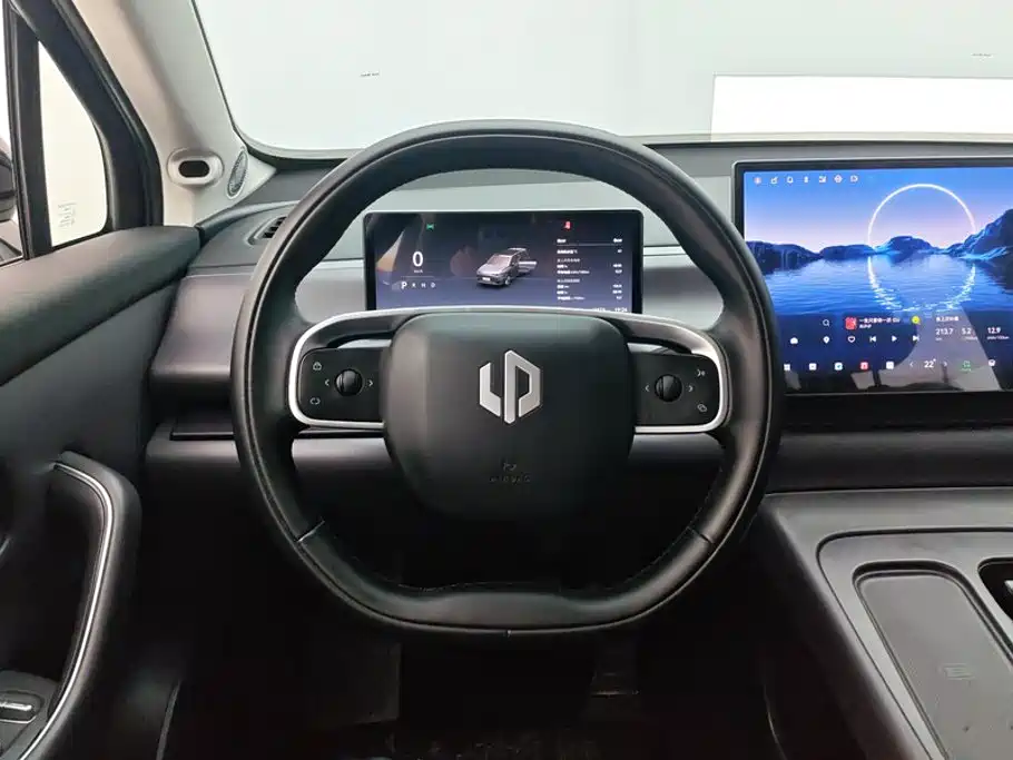 Leapmoon C16 2024 Extended Range 200 Exclusive Edition купить на сайте DeffCars