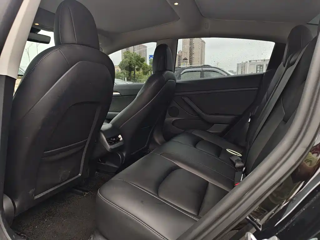Model 3 2022 rear-wheel drive version купить на сайте DeffCars