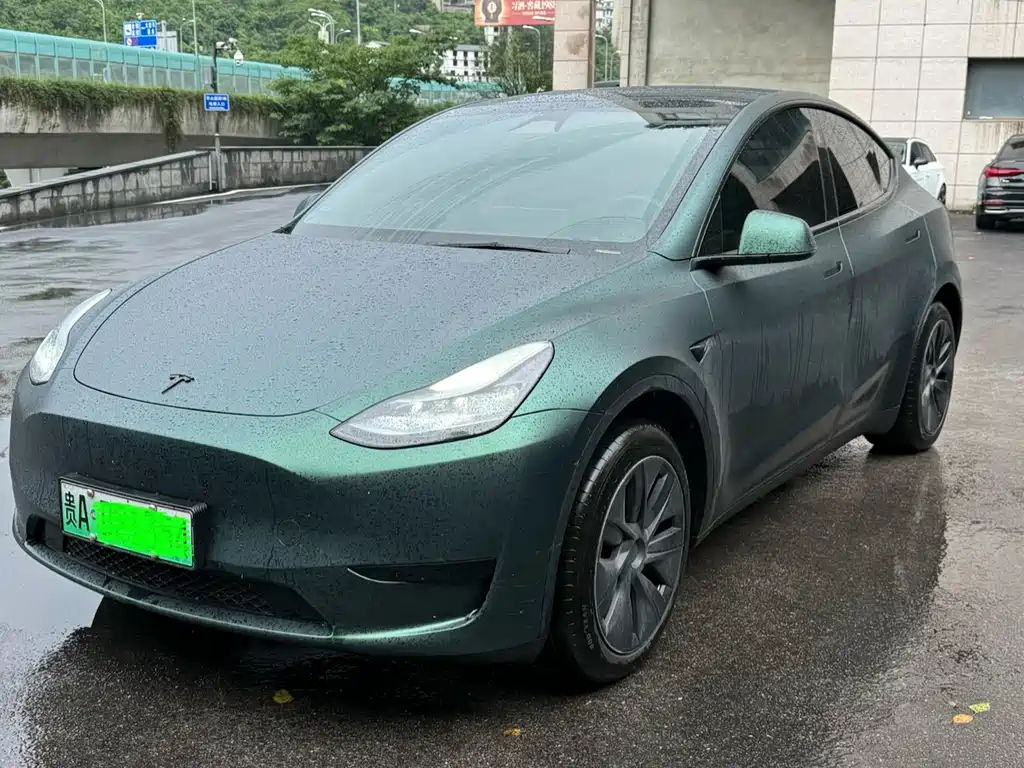 Model Y 2024 rear-wheel drive version купить на сайте DeffCars