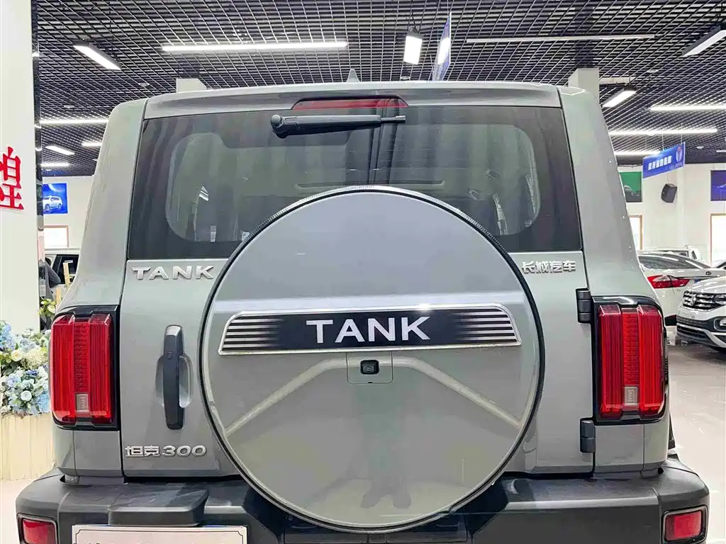 Tank 300 2021 Off-Road Version 2.0T Conqueror купить на сайте DeffCars