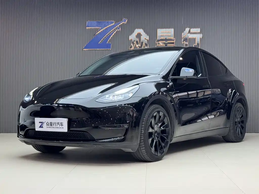 Model Y 2021 standard range rear-wheel drive version купить на сайте DeffCars