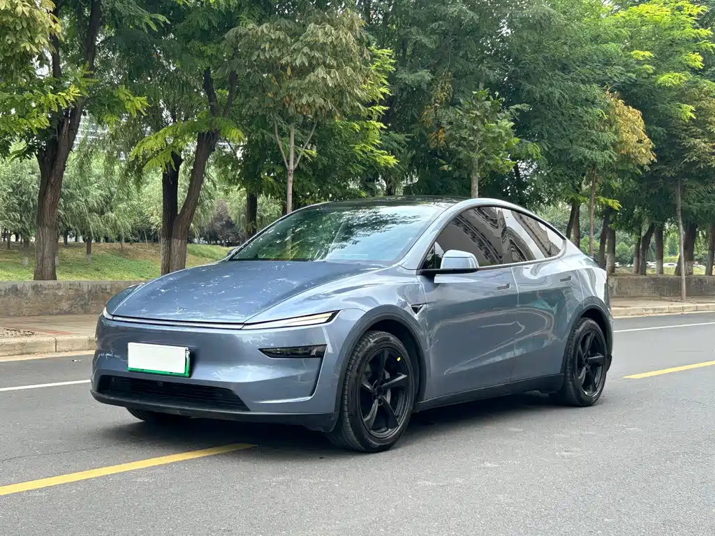 Model Y 2025 long-range all-wheel drive version купить на сайте DeffCars
