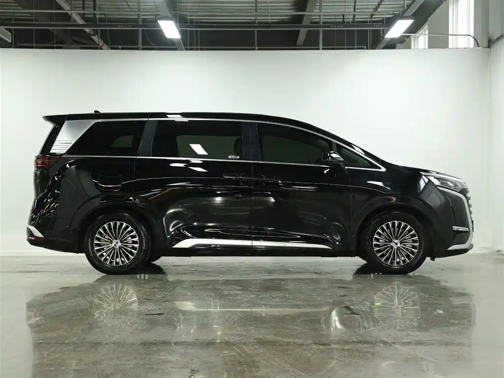 Denza D9 2024 DM-i 1050 Exclusive Type купить на сайте DeffCars