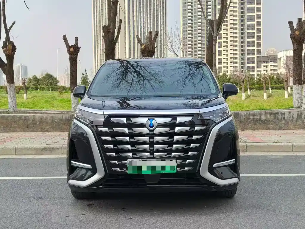 Denza D9 2022 DM-i 970 four-wheel drive flagship model купить на сайте DeffCars