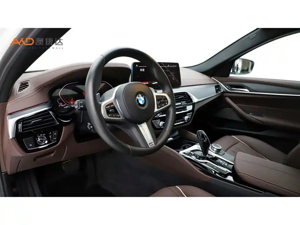 BMW 530Li/2.0T/22 models/modification leading M sports package купить на сайте DeffCars