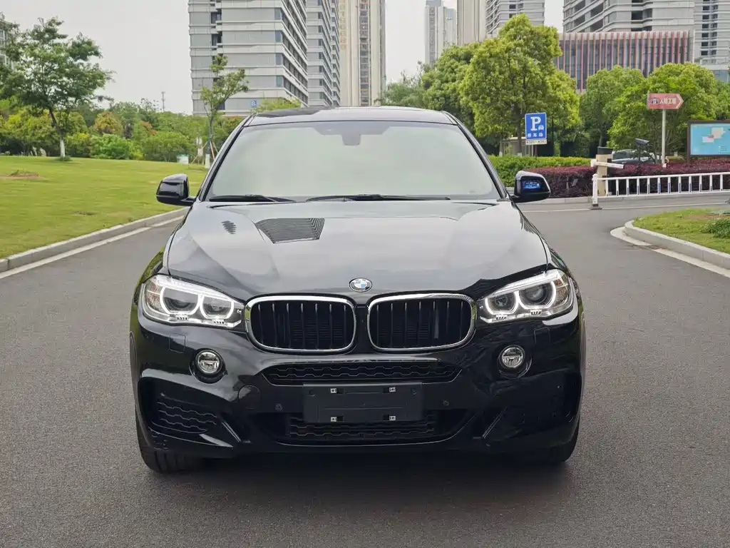 BMW X6 2019 xDrive28i M Sports Package купить на сайте DeffCars
