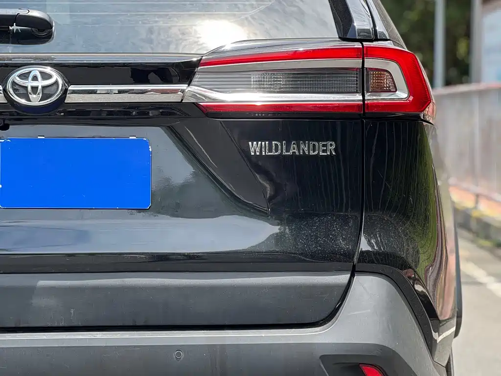 Wilanda 2023 2.0L CVT two-wheel drive luxury PLUS version купить на сайте DeffCars