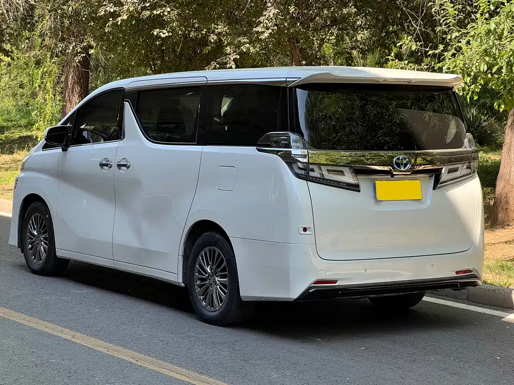 Wilfa 2019 Shuangqing 2.5L HV Deluxe Edition купить на сайте DeffCars
