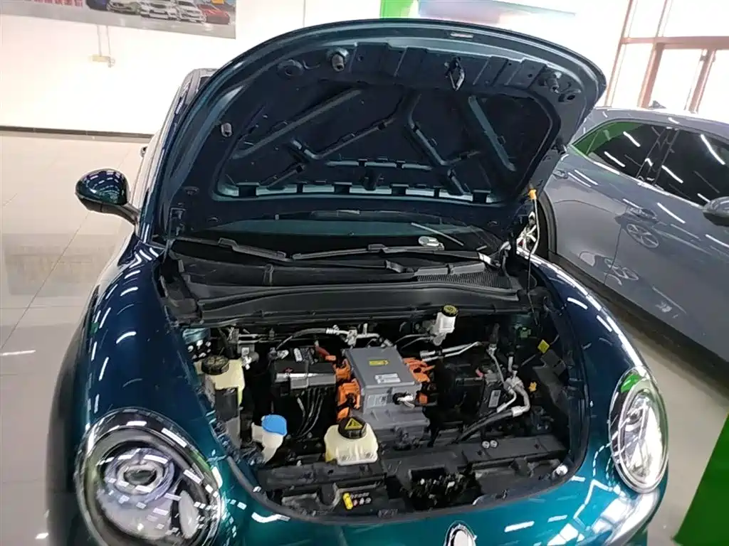 Euler Good Cat 2023 model 401km standard battery life luxury model lithium iron phosphate купить на сайте DeffCars