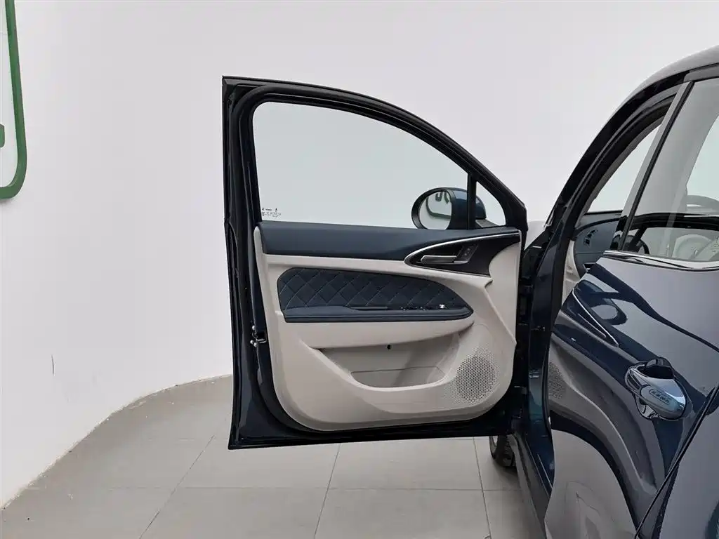 Euler Good Cat 2024 Model 401km Luxury Model купить на сайте DeffCars