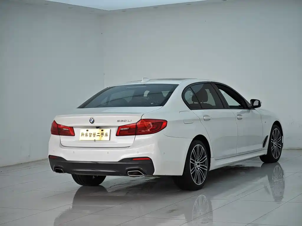 BMW 5 Series 2019 530Li Leading M Sports Package купить на сайте DeffCars