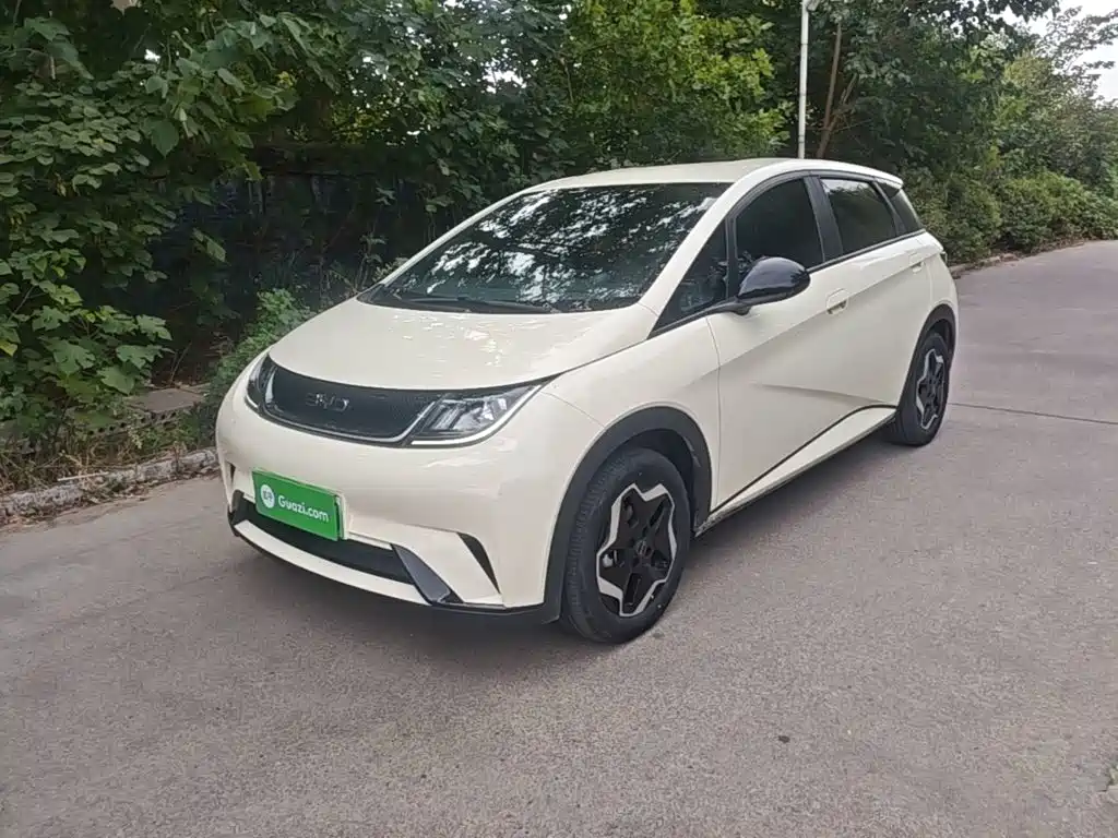 Dolphin 2025 420km active version купить на сайте DeffCars