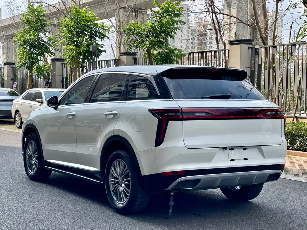 Venucia 2021 260T Automatic Xingshang Edition купить на сайте DeffCars
