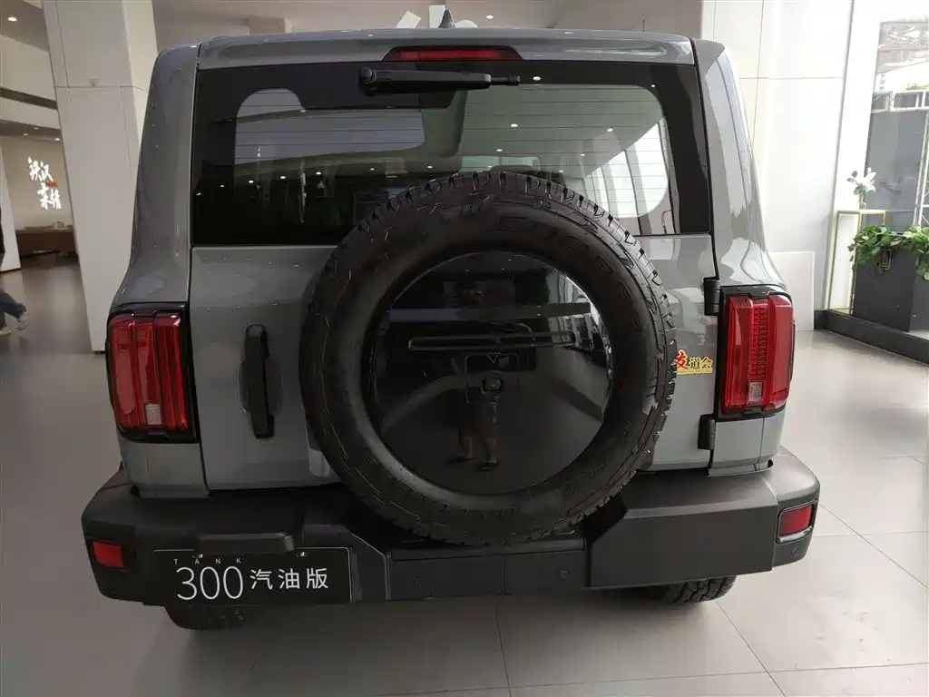 Tank 300 2021 Off-Road Version 2.0T Conqueror купить на сайте DeffCars