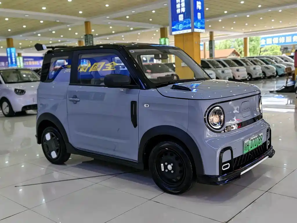 Panda (Geome) 2024 200km Cartridge купить на сайте DeffCars
