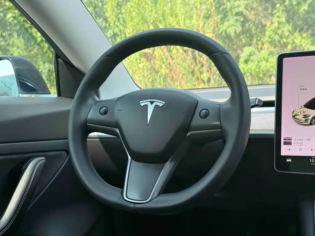 Model 3 2020 Standard Range Rear Drive Upgraded Version купить на сайте DeffCars