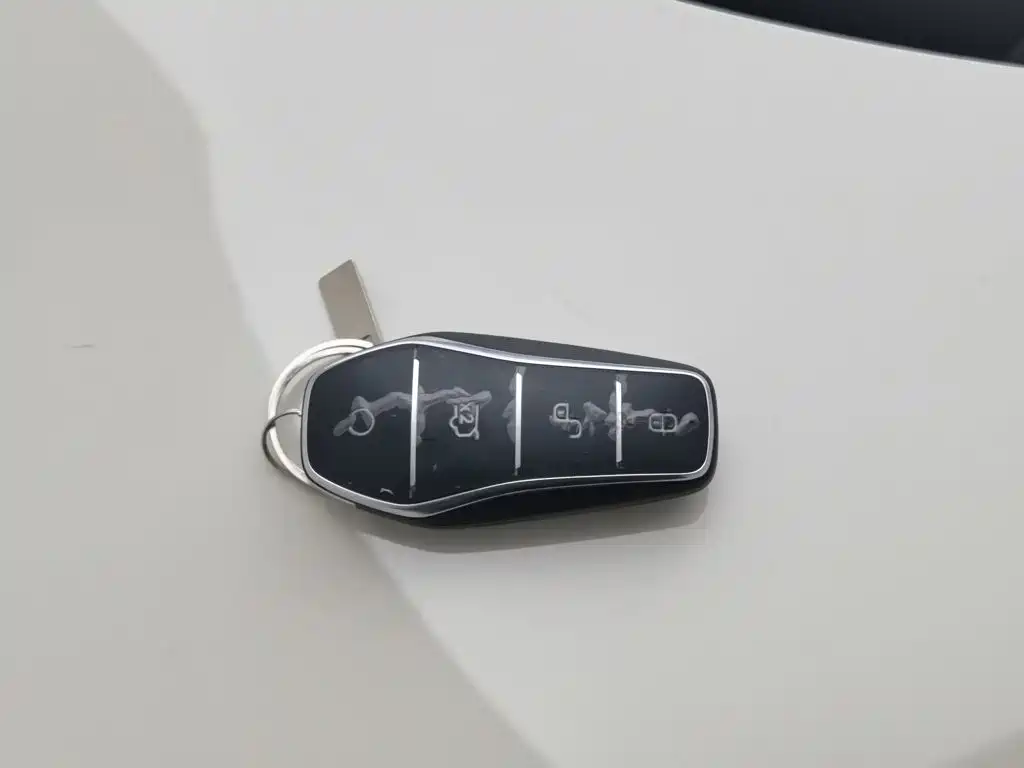 Seagull 2023 Flying Edition купить на сайте DeffCars