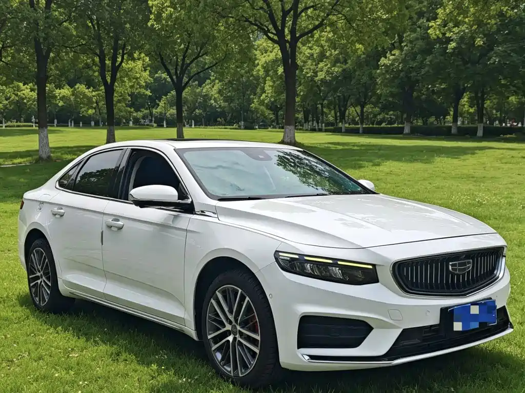 Xingrui 2021 2.0TD Premium Model купить на сайте DeffCars