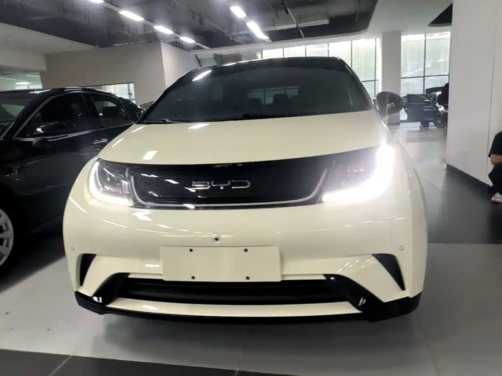 Dolphin 2023 420km Fashion Edition купить на сайте DeffCars
