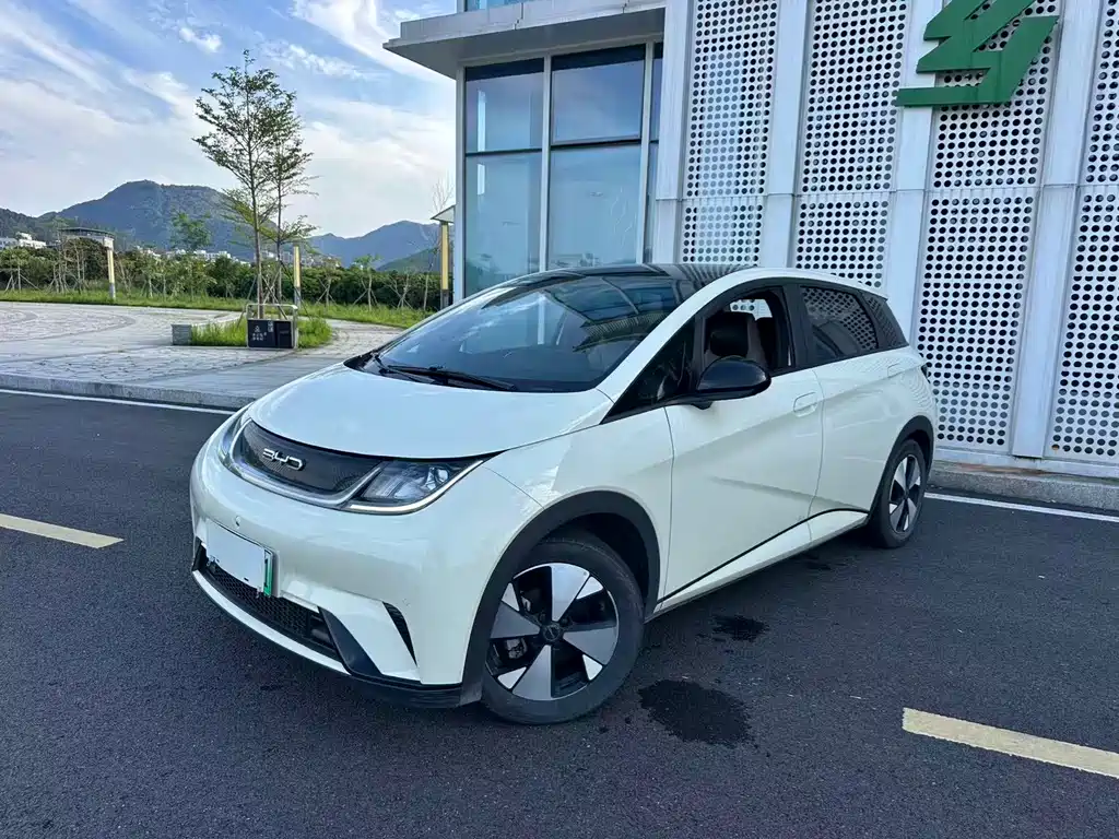 Dolphin 2023 420km Fashion Edition купить на сайте DeffCars