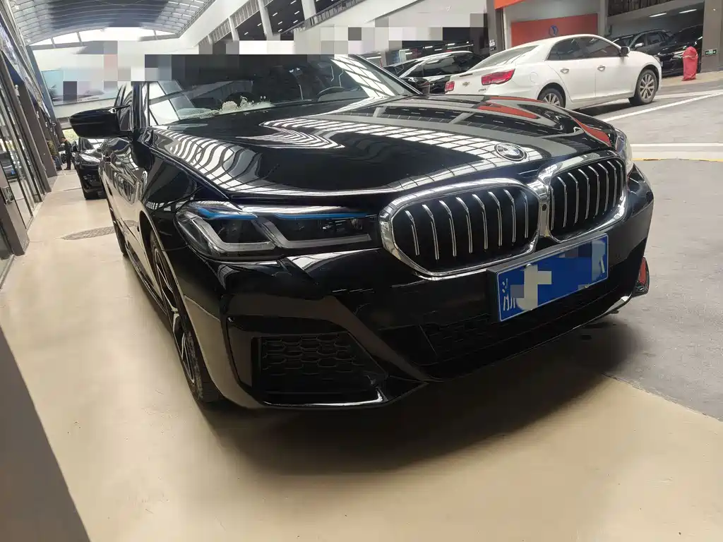 BMW 5 Series 2020 530Li Leading Luxury Package купить на сайте DeffCars