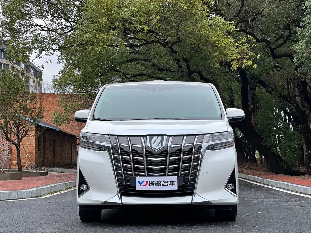 Alfa 2020 Shuangqing 2.5L Premium Edition купить на сайте DeffCars