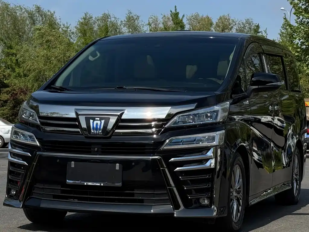 Wilfa 2020 Shuangqing 2.5L HV Premium Edition купить на сайте DeffCars