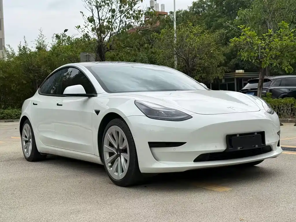 Model 3 2021 Standard Range Rear Drive Upgraded Version купить на сайте DeffCars