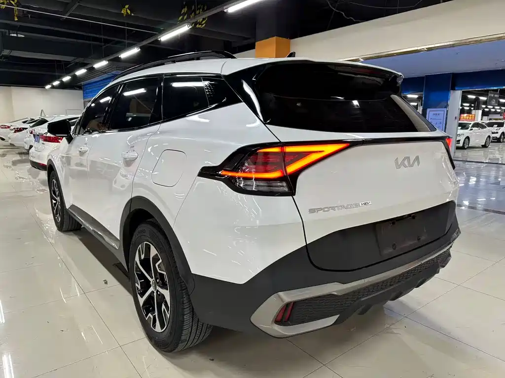 Lion Expands the Boundary 2023 2.0L HEV Two-wheel Drive Premium Edition купить на сайте DeffCars