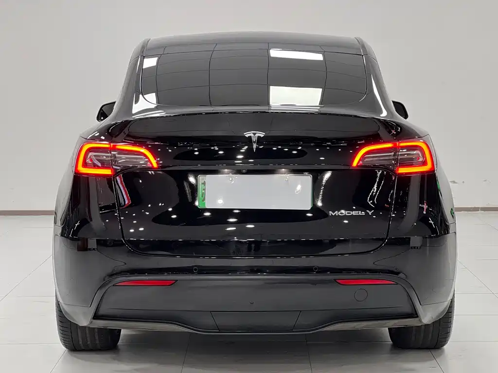 Model Y 2021 standard range rear-wheel drive version купить на сайте DeffCars