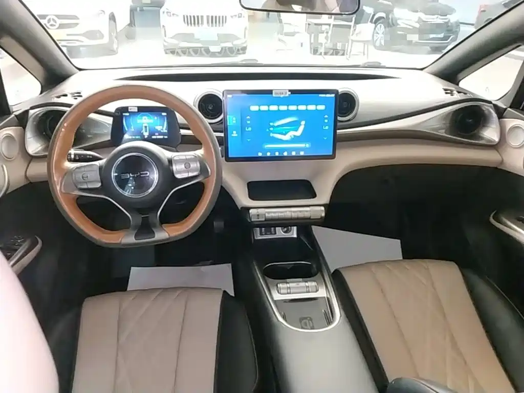 Dolphin 2021 405km Fashion Edition купить на сайте DeffCars