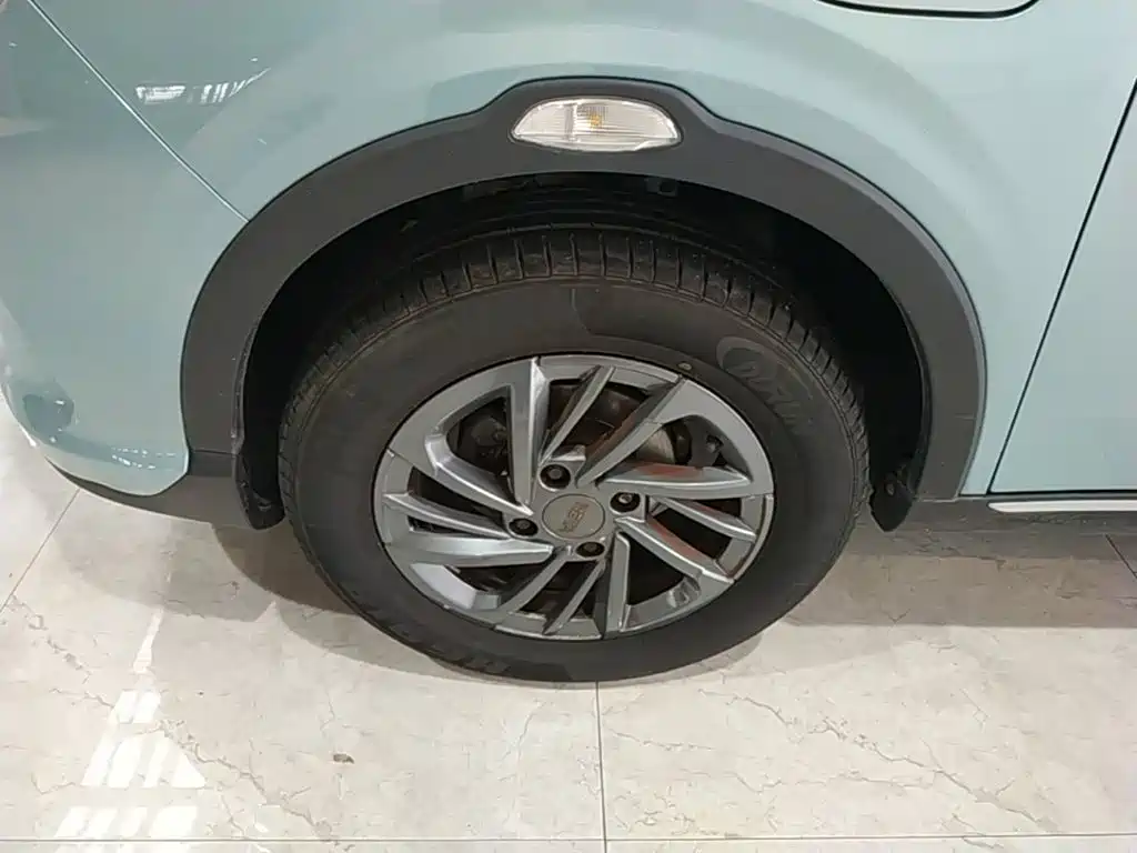 V 2022 Trendy 300 Lite Lithium Iron Phosphate купить на сайте DeffCars