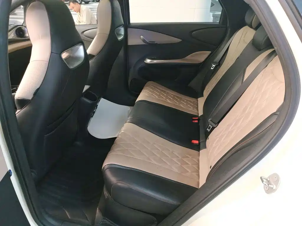 Dolphin 2021 405km Fashion Edition купить на сайте DeffCars