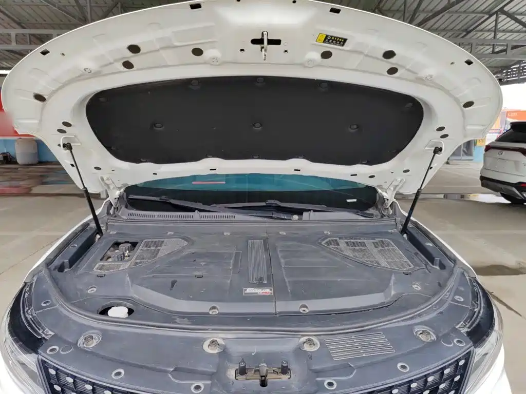 Fengguang ix5 2019 model 280TGDI CVT Zhizun type National V купить на сайте DeffCars