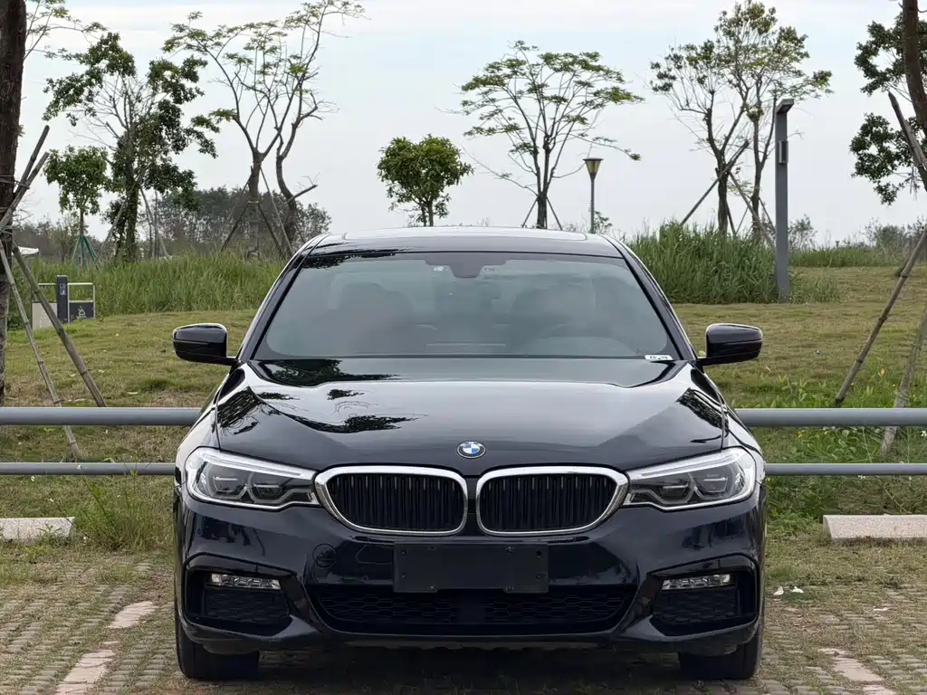 BMW 5 Series 2018 facelift 530Li leading M sports package купить на сайте DeffCars