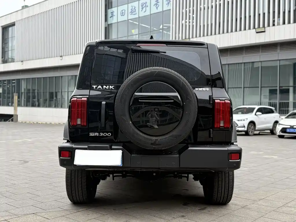 Tank 300 2023 Off-Road Version 2.0T Conqueror купить на сайте DeffCars