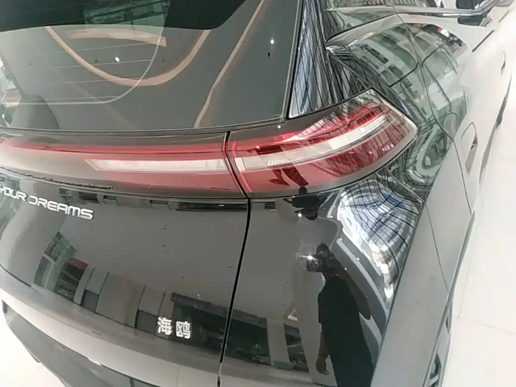 Seagull 2023 Vitality Edition купить на сайте DeffCars