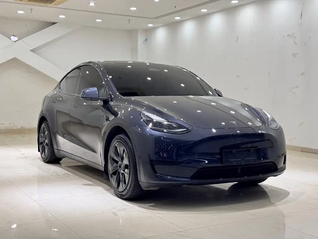 Model Y 2024 rear-wheel drive version купить на сайте DeffCars