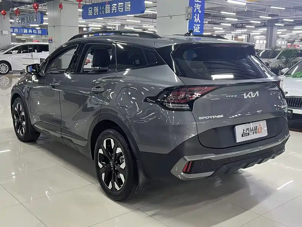 Lion Platinum Extends the World 2023 2.0T Two-wheel Drive Premium Edition купить на сайте DeffCars