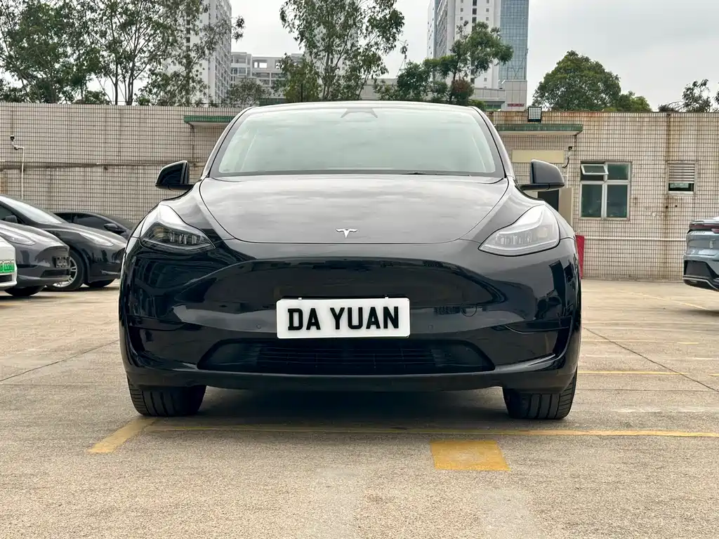 Model Y 2023 rear-wheel drive version купить на сайте DeffCars