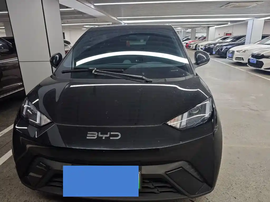 Seagull 2025 305km active version купить на сайте DeffCars