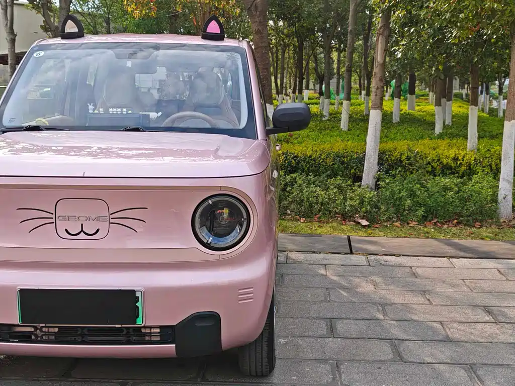 Panda 2023 Panda mini 200km Smart Bear купить на сайте DeffCars
